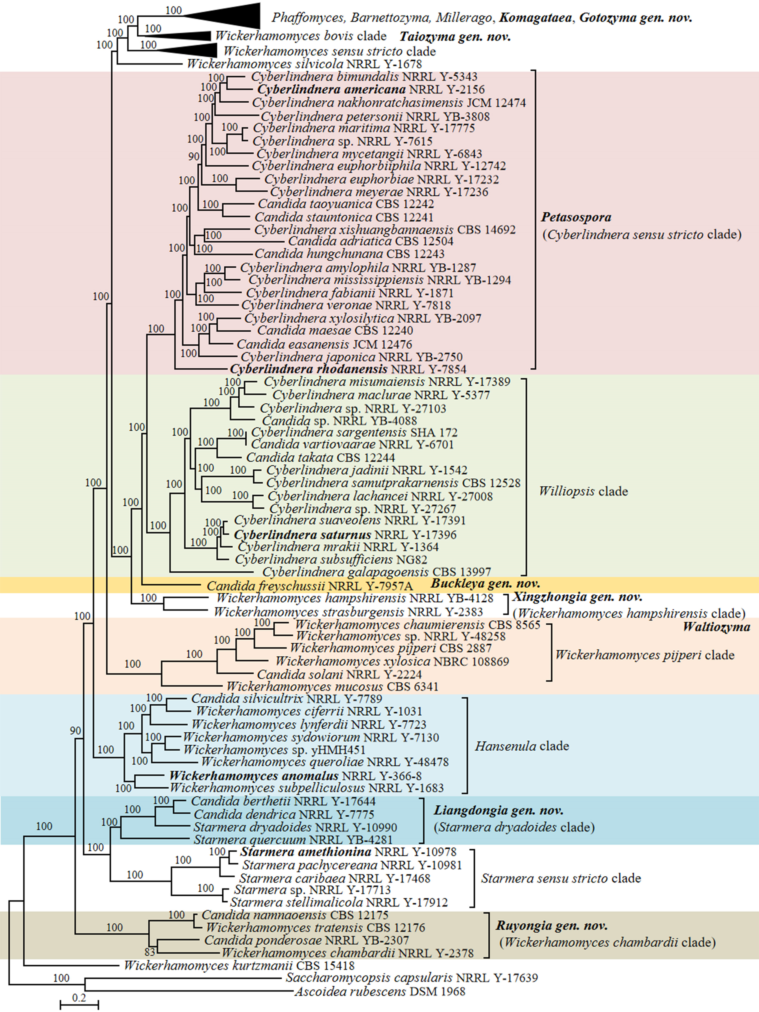 Figure 17